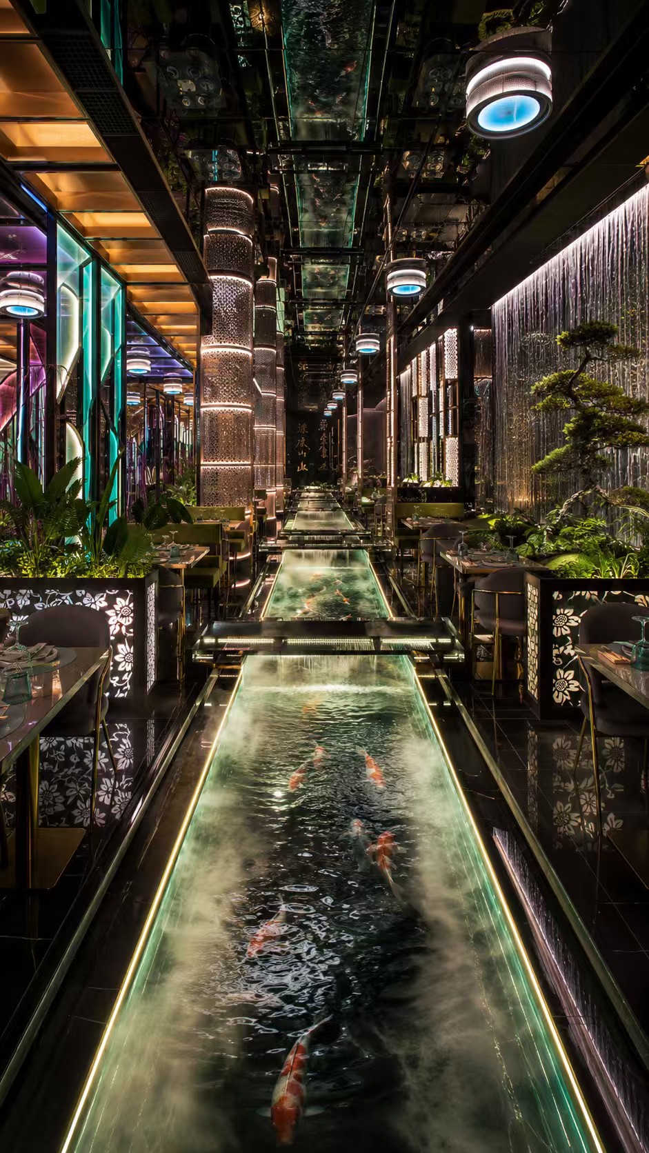 餐厅展示